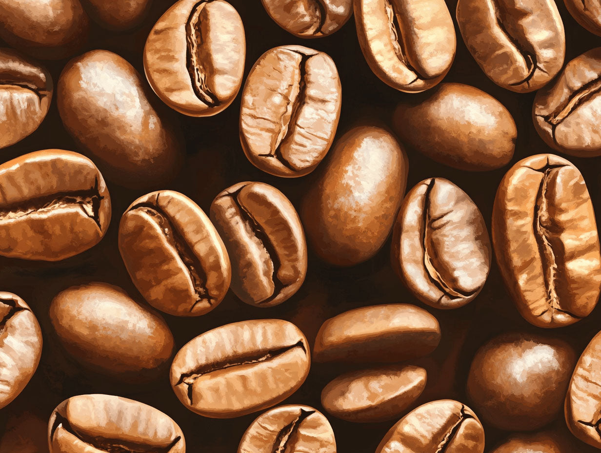 Brown coffee beans lying still, closely packed together, creating a textured surface. The light reflects softly, highlighting their smooth and slightly shiny surface within a rich, dark background.