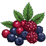 Berry