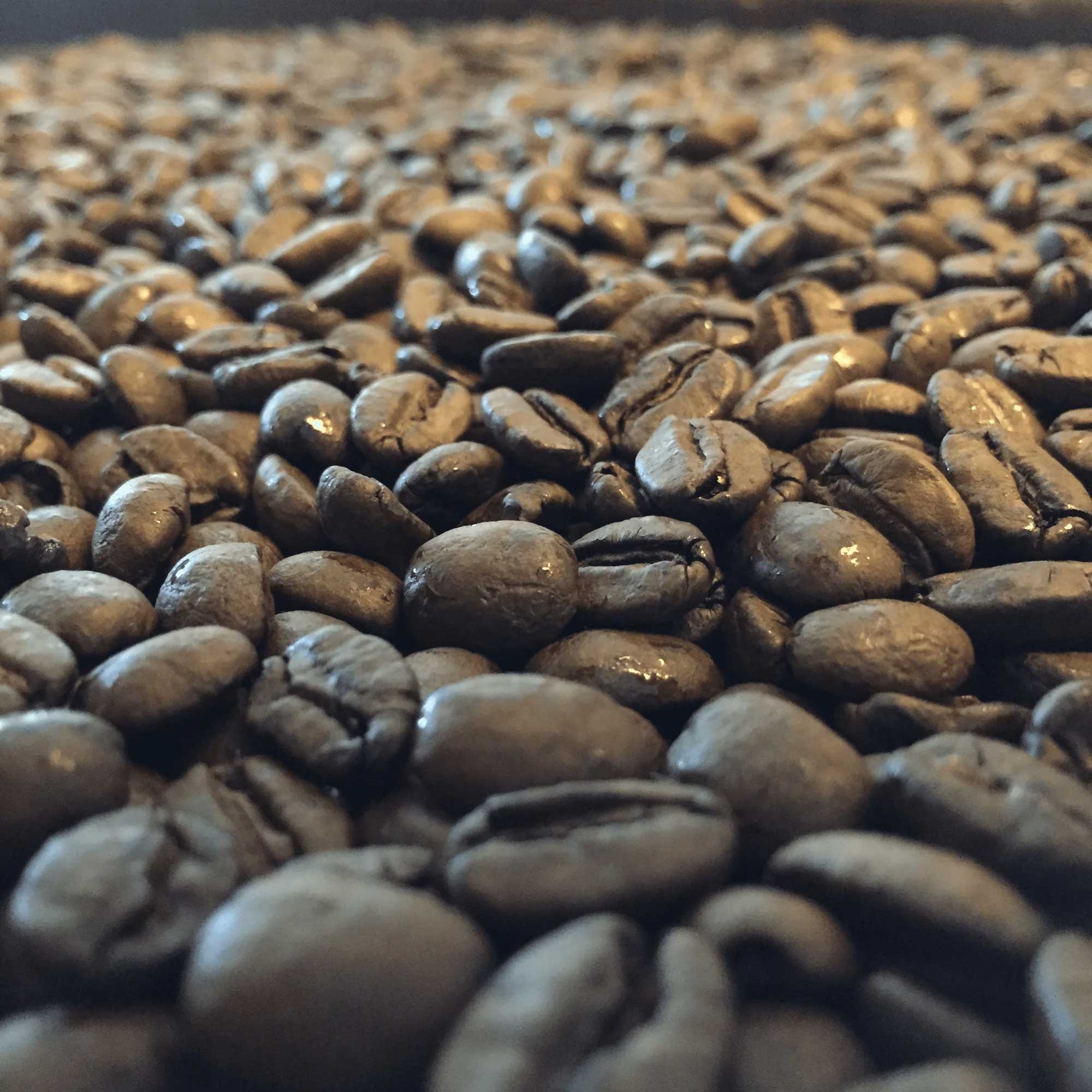 Roasted coffee beans lie scattered closely together, filling the frame. The focus is on their shiny, textured surfaces, suggesting freshness and quality in a warm, inviting atmosphere.