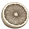 Citrus