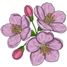 Floral