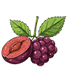 Huckle Berry