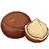 Macadamia Nut