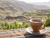A Guatemalan Coffee Cup on a table overlooking a coffee farm