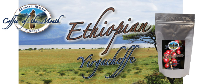 Coffee of the Month - Ethiopian Yirgacheffe