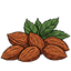 Almond