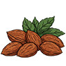 Almond