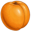 Apricot