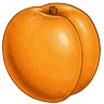 Apricot
