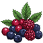 Berry