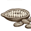 Cocoa
