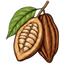 Cocoa