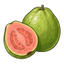 Guava