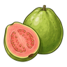 Guava