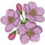 Floral
