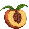 Peach