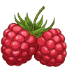 Raspberry